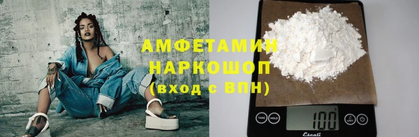 индика Алзамай