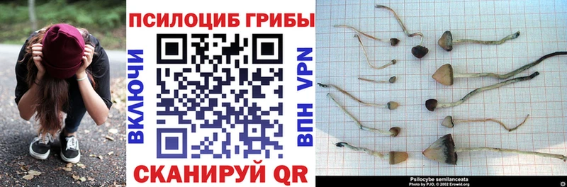 Псилоцибиновые грибы прущие грибы  Иваново 
