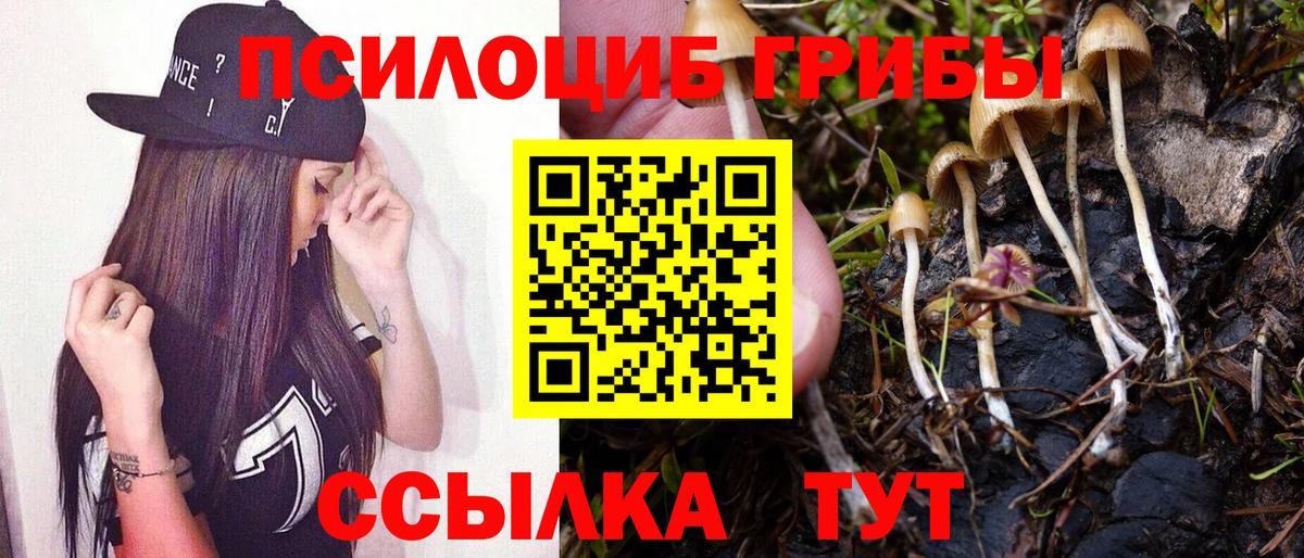 Псилоцибиновые грибы Magic Shrooms Иваново