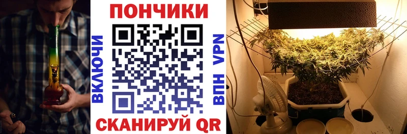 Каннабис SATIVA & INDICA  Иваново 